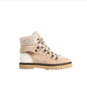 Chloe Eilieen Shearling/Suede/Leather ankle boots